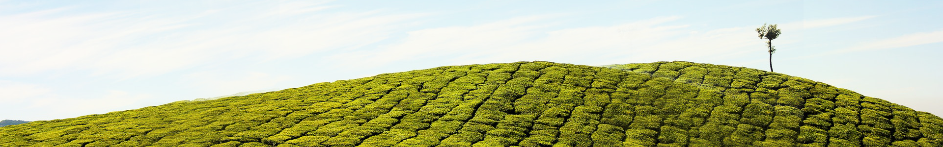 爱游戏真人体育娱乐