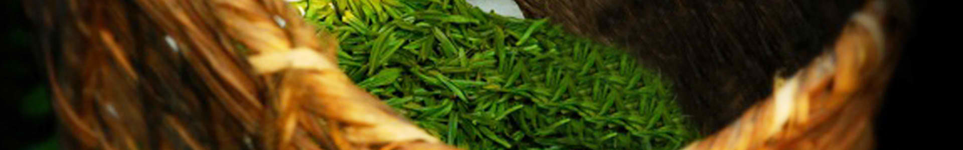 爱游戏真人体育娱乐