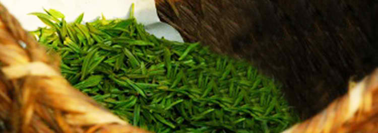 爱游戏真人体育娱乐